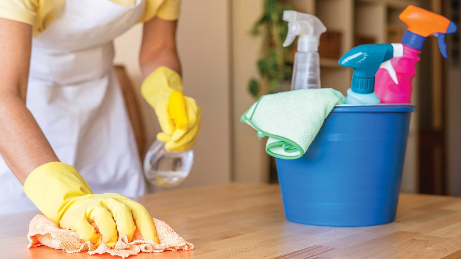 Deep Cleaning Service